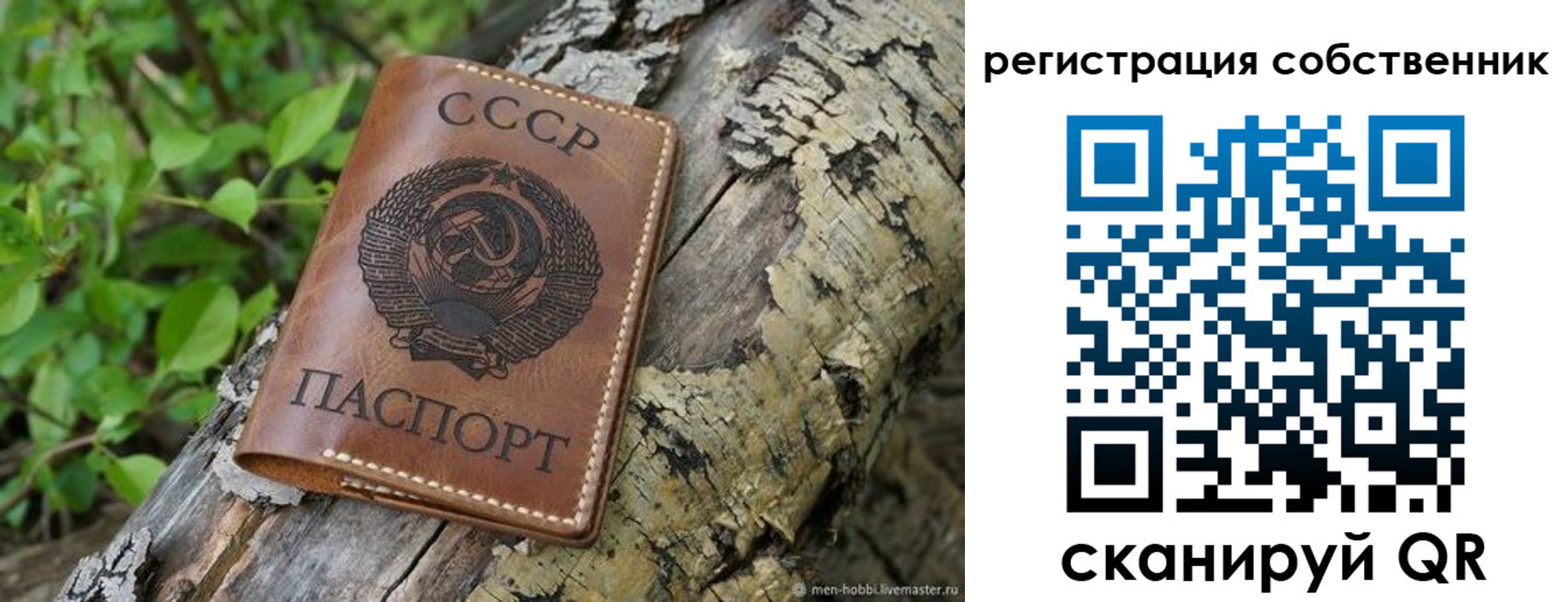 временная регистрация госуслуги в Брянске